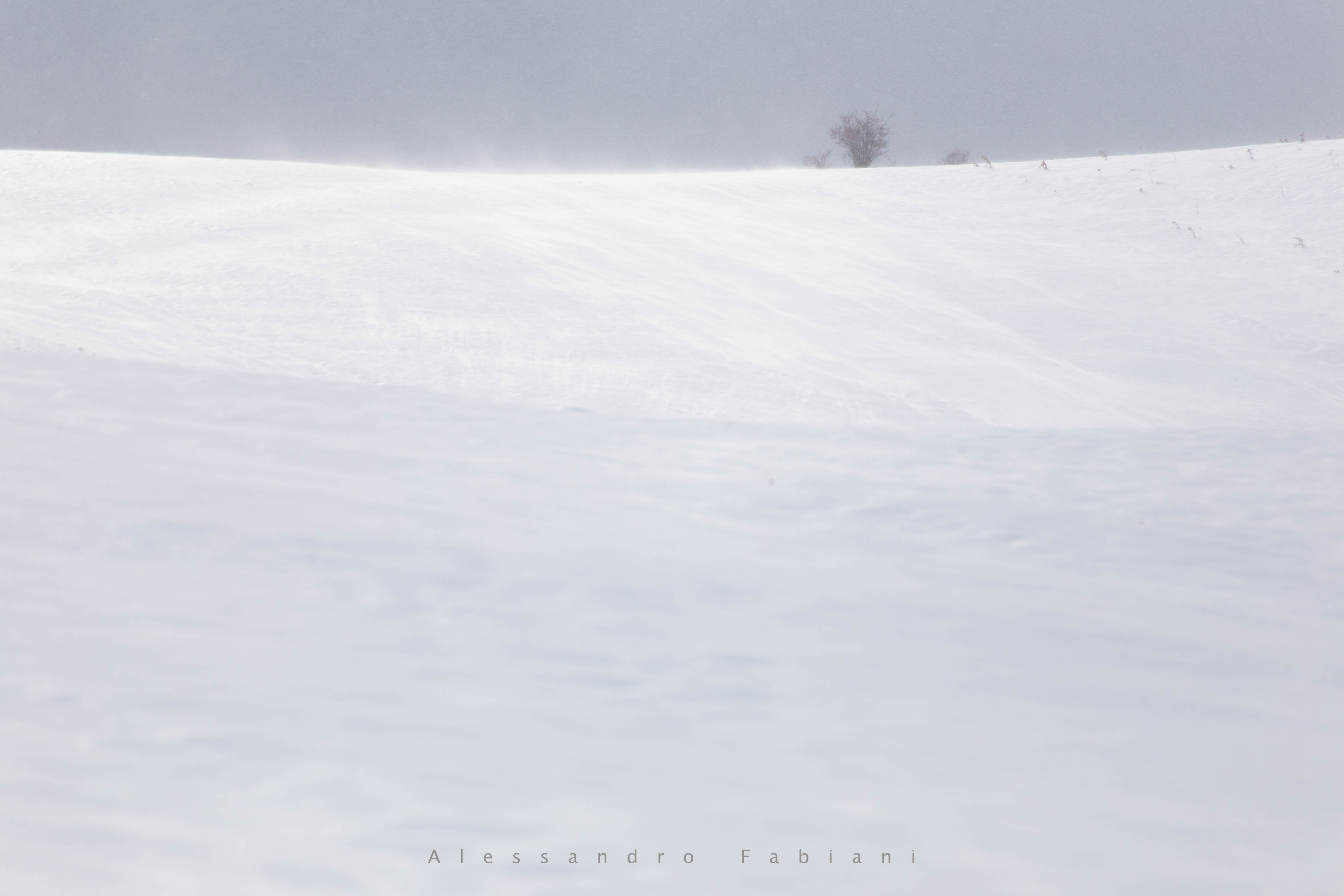 Fotografare la neve