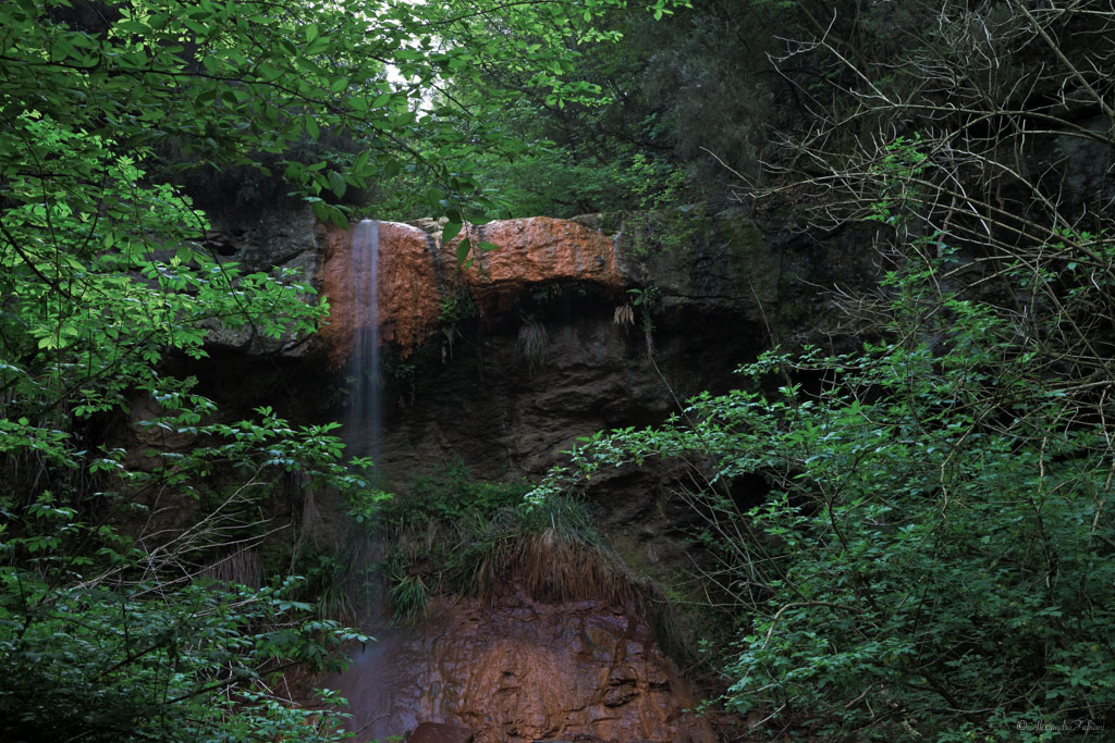 Un workshop alla Riserva Naturale Monterano